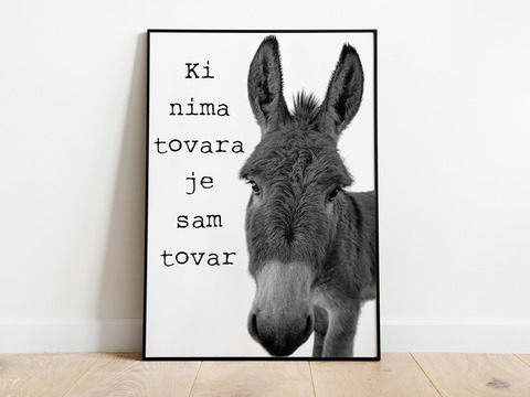 Posters